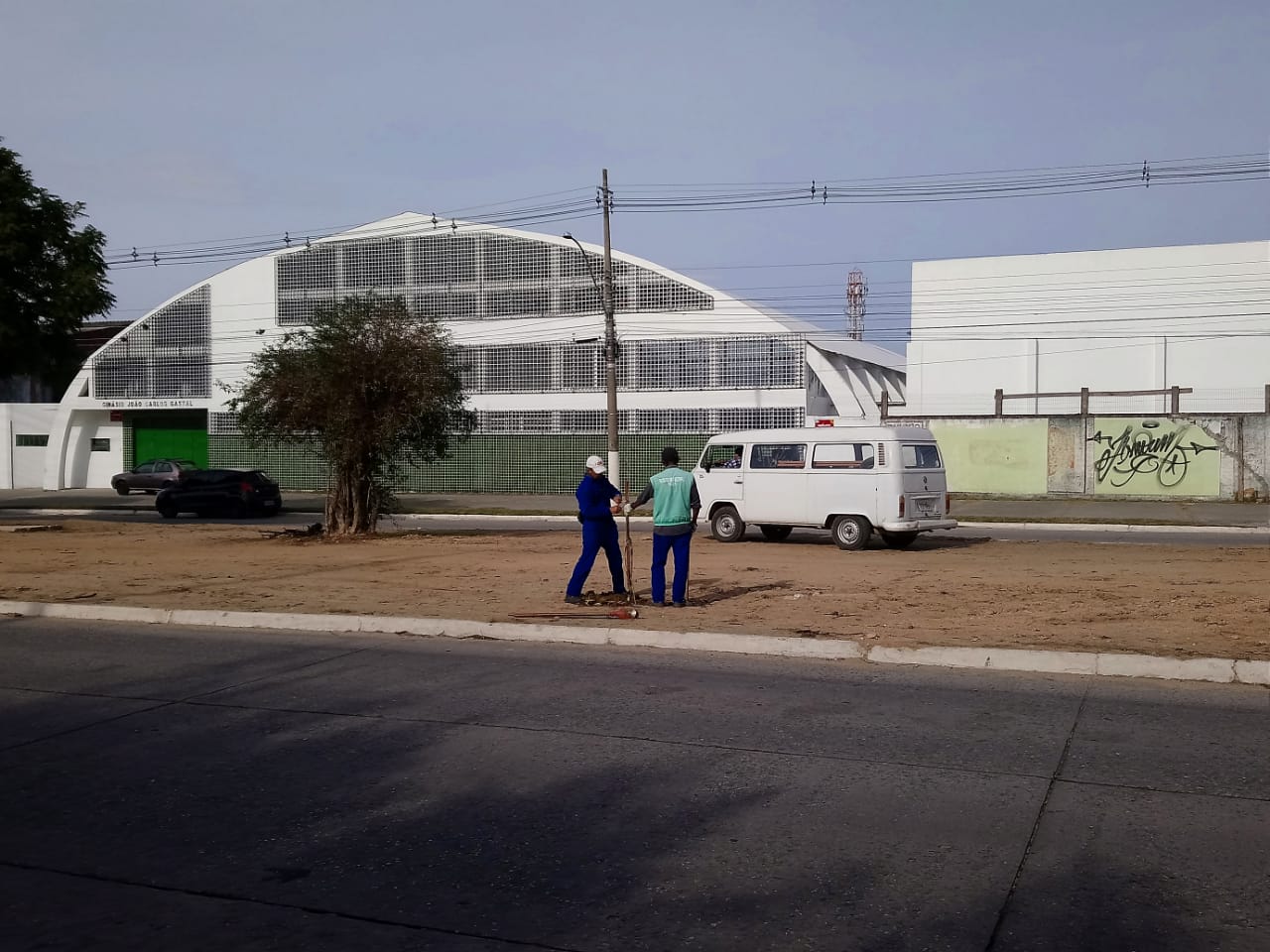 Período de plantio vai até o fim de agosto e a arborização ocorre em todas as regiões de Pelotas