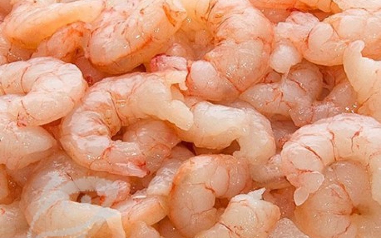 A produção experimental será sem água salgada