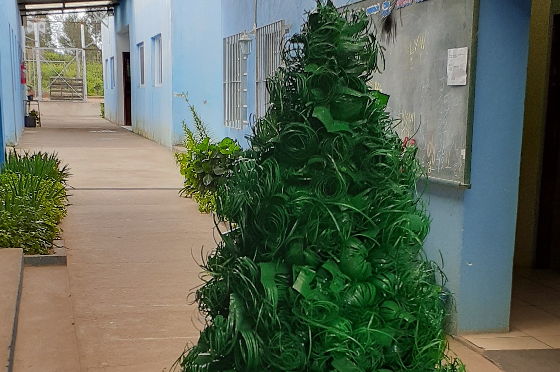 Objetivo é lembrar a importância do cuidado com o meio ambiente e reviver o espírito natalino