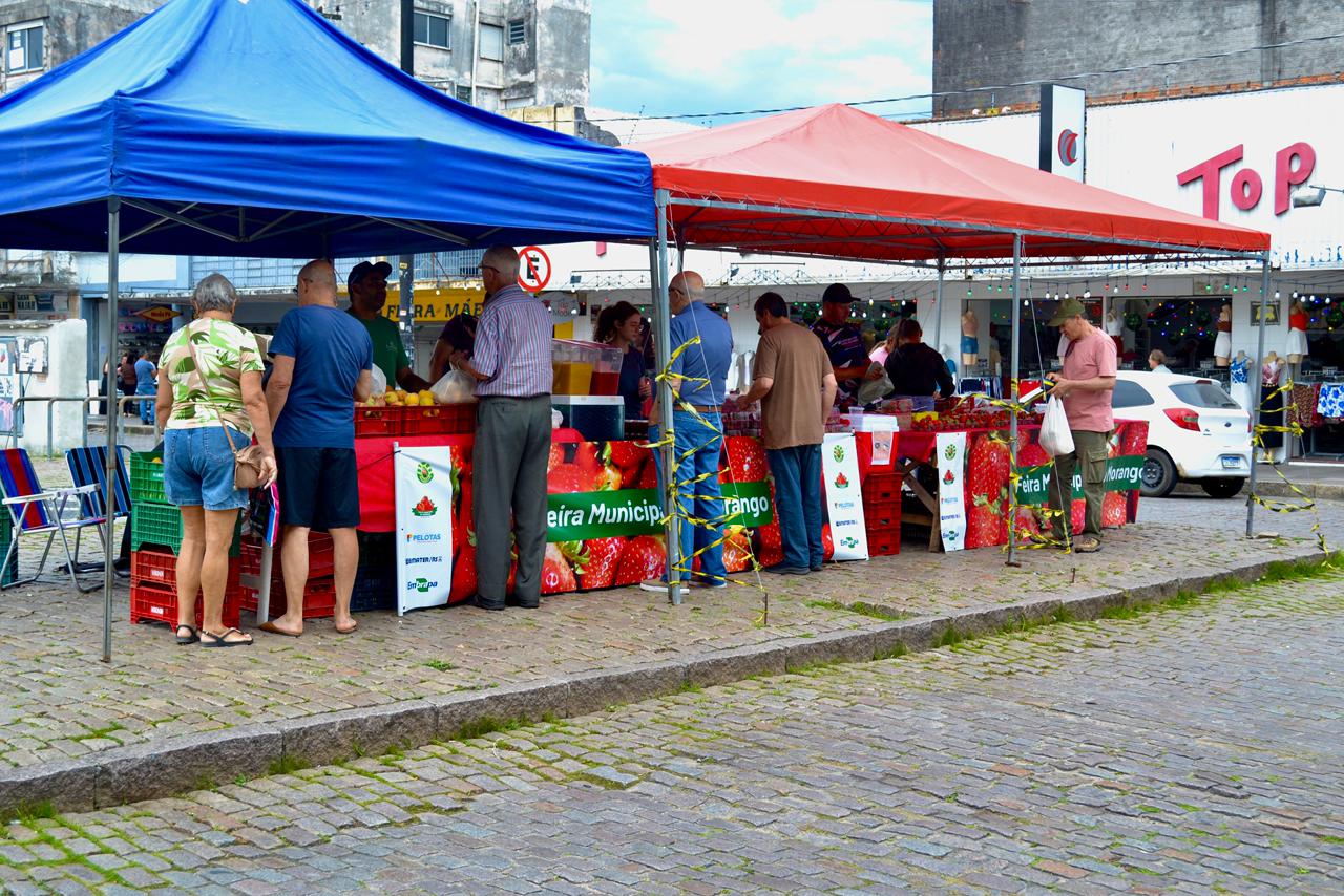 Bancas no Centro e bairros, das Feiras Municipais, são responsáveis pela popularização das frutas