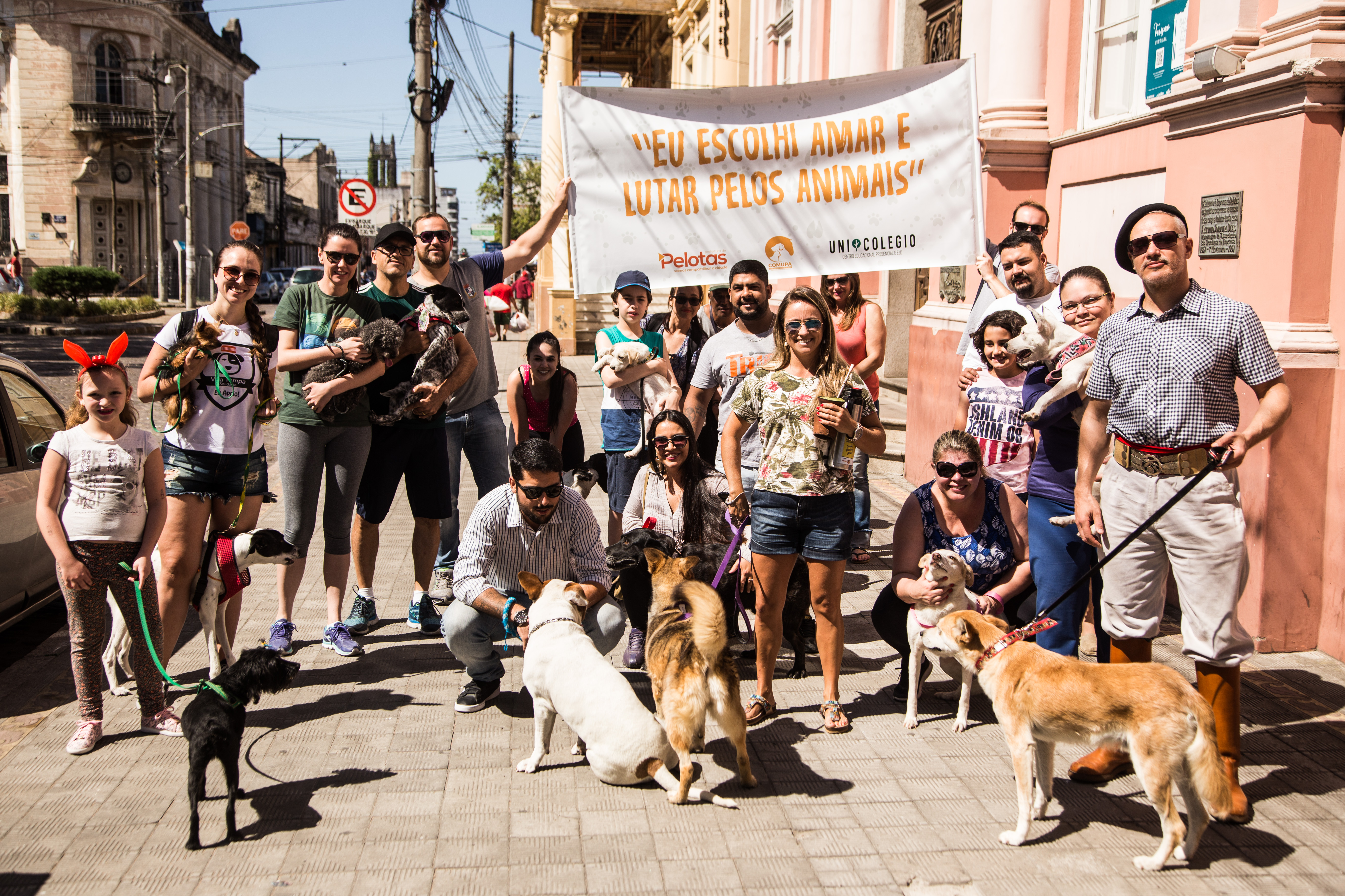 Animais passearam pelo Centro Histórico