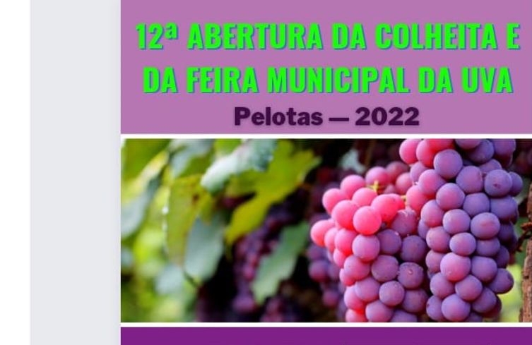 Nesta edição, 56 produtores participam das feiras que vão disponibilizar a fruta em pelo menos sete lugares do município. Calor excessivo foi favorável, deixando a uva mais saborosa