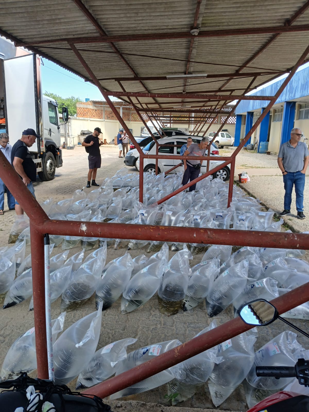 Terceira e última remessa do programa chegou nesta sexta-feira na SDR