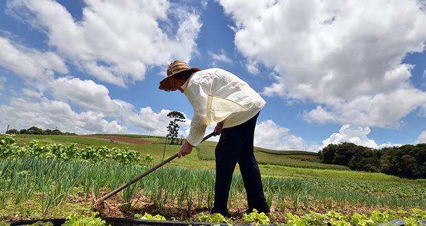 Dia 25 de julho é marcado com reconhecimento de Pelotas às famílias dos oito distritos da zona rural