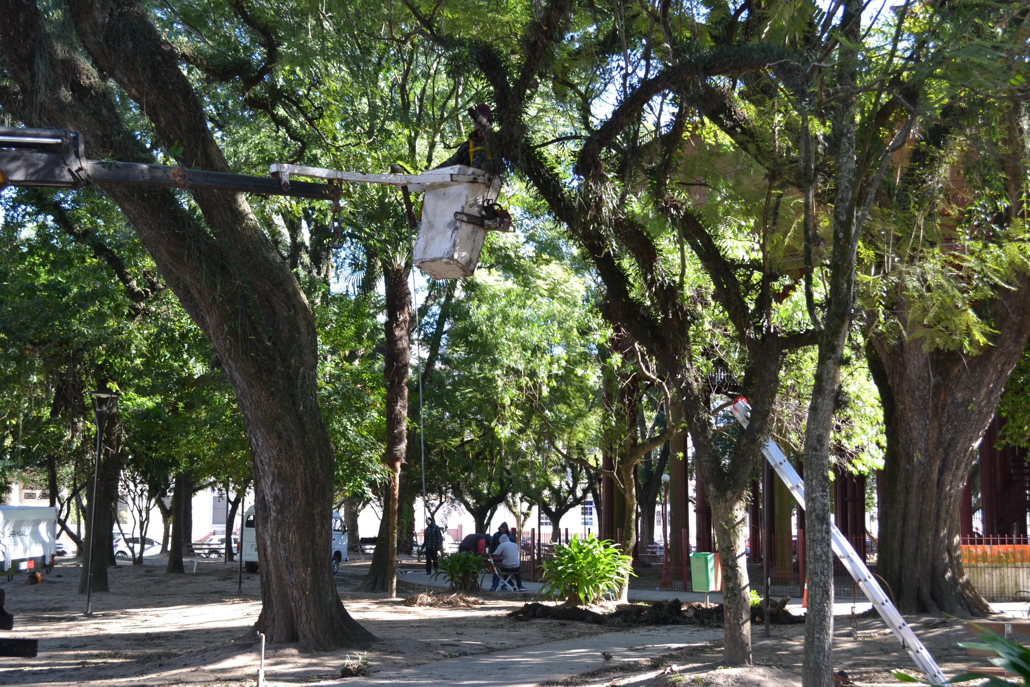 Serviço pode ser solicitado através da Ouvidoria municipal ou na Secretaria de Qualidade Ambiental