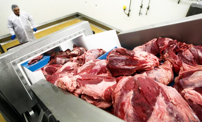 Inspeção é rigorosa para evitar contaminações e doenças provocadas por micro-organismos