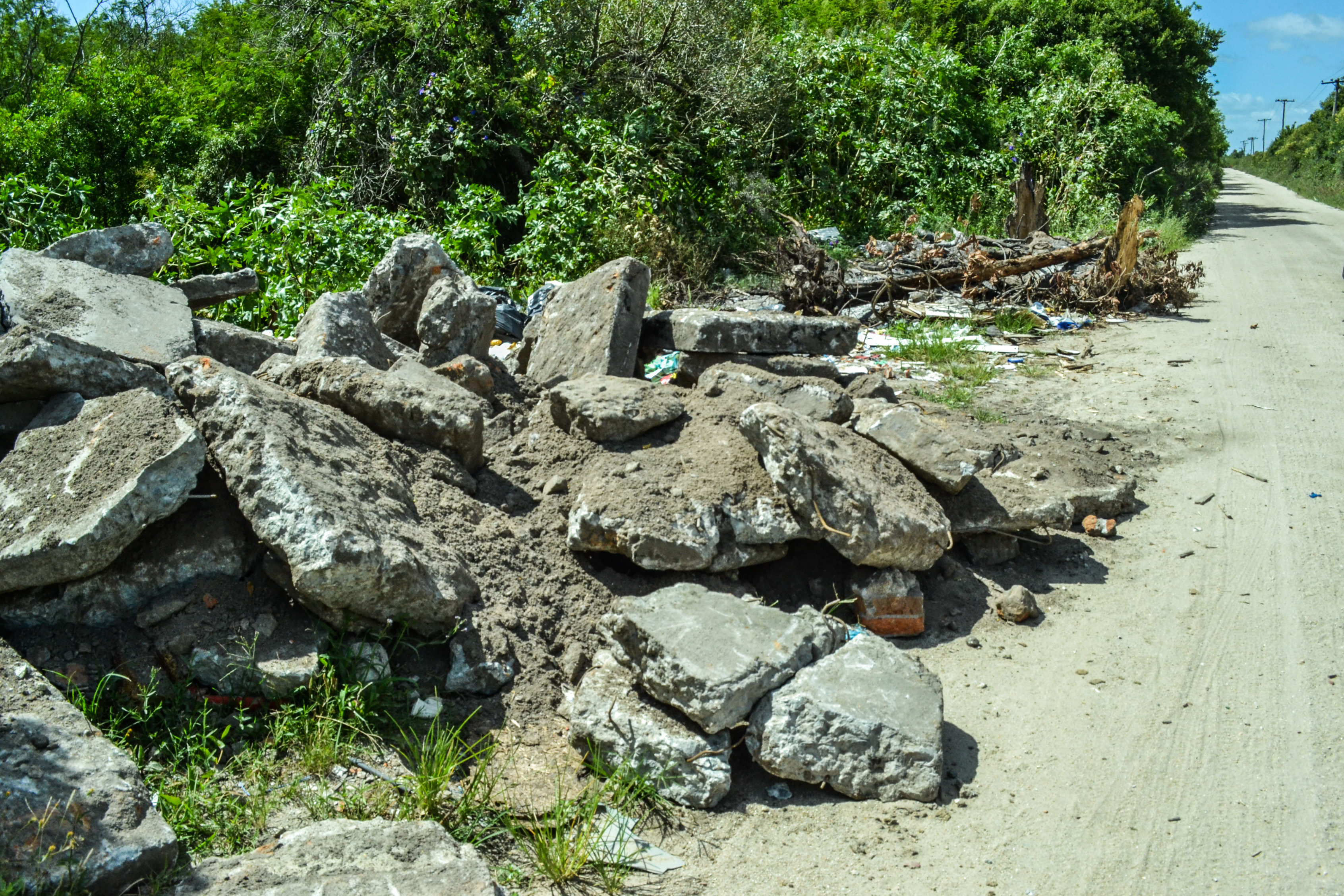 O local é alvo constante de descarte: é comum encontrar lixo, restos de poda, animais mortos, pneus, restos de móveis entre outros materiais
