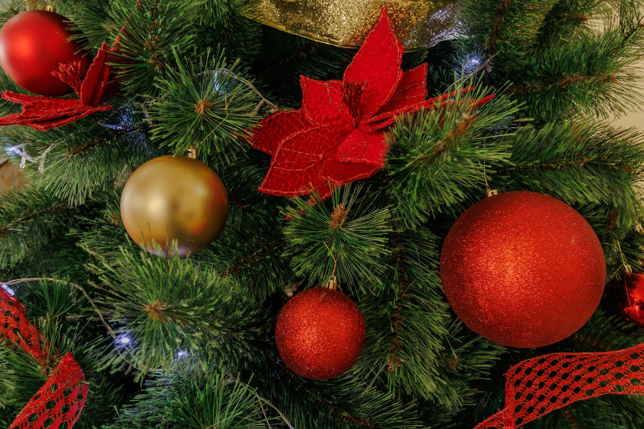 Muitas luzes e motivos natalinos na Praça Cel. Pedro Osório e entorno vão marcar o Natal em Pelotas, programação que se estende até 1º de janeiro