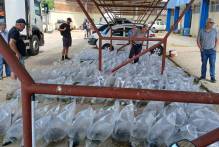 Prefeitura entrega 50 mil alevinos a produtores neste ano