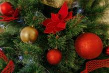 Pelotas Doce Natal inicia dia 15 com chegada do Papai Noel