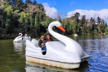 Passeios em pedalinhos retornarão à rodoviária