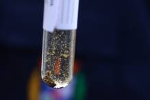 Seguem estáveis os registros de dengue no município