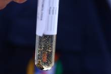 Pelotas confirma dois novos casos de dengue
