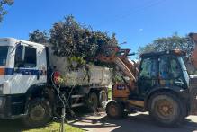 Prefeitura põe máquinas e efetivo na rua para recuperar a cidade