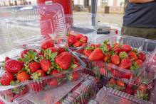 Feira do Morango é prorrogada e segue até o dia 10 de fevereiro