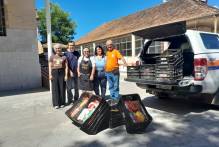 Alimentos arrecadados começam a ser distribuídos a instituições