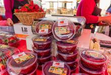 9° edição da Feira Municipal do Morango encerra segunda (19)