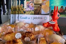 Pelotas é destaque em evento internacional na serra Gaúcha
