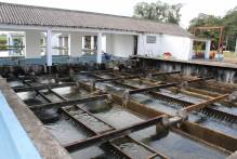 Manutenção da CEEE Equatorial poderá causar desabastecimento na segunda