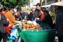 Programação cultural movimenta o centro de Pelotas nesta semana