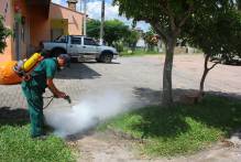 Pelotas confirma mais dois casos de dengue nesta semana