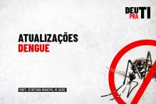Pelotas tem mais quatro casos de dengue confirmados