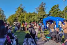 Olimpíadas do Caps estão transferidas para o dia 17