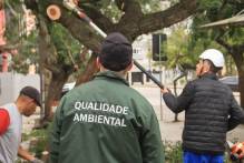 Qualidade Ambiental prepara áreas para serviços de infraestrutura