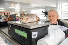 Prefeitura intensifica fiscalizações sanitárias em bancas de peixes