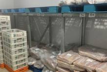 SDR habilita peixaria da Z3 a vender produtos para todo o Brasil