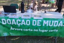 Prefeitura inicia distribuição de mudas nativas