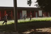 Seguem estáveis os casos de dengue nesta semana