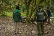 Fiscalização combate invasões na Mata do Totó