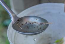 Casos de dengue em Pelotas estão estáveis