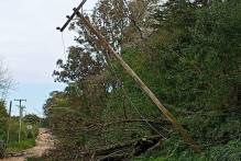 Colônia sofre com falta de energia em todo território