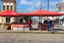 Feira do Morango comercializa mais de 1,6 tonelada em uma semana