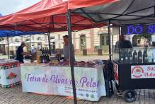 15ª Feira Municipal de Uvas de Pelotas será aberta sexta-feira