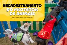 Prefeitura inicia recadastramento de protetores de animais
