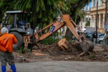 Prefeitura remove vegetação de praças e do canteiro da Duque