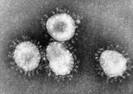 Etiqueta Respiratória pode ajudar a prevenir infecções respiratórias, incluindo o coronavírus