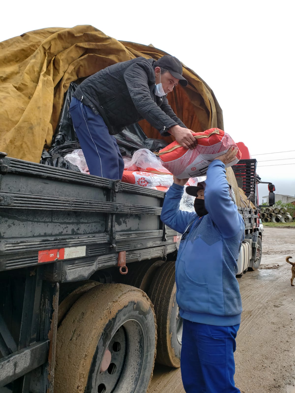 Agricultores podem retirar o insumo até esta sexta-feira (13) na sede da Secretaria de Desenvolvimento Rural. A partir de segunda-feira, o material estará disponível também nas administrações distritais