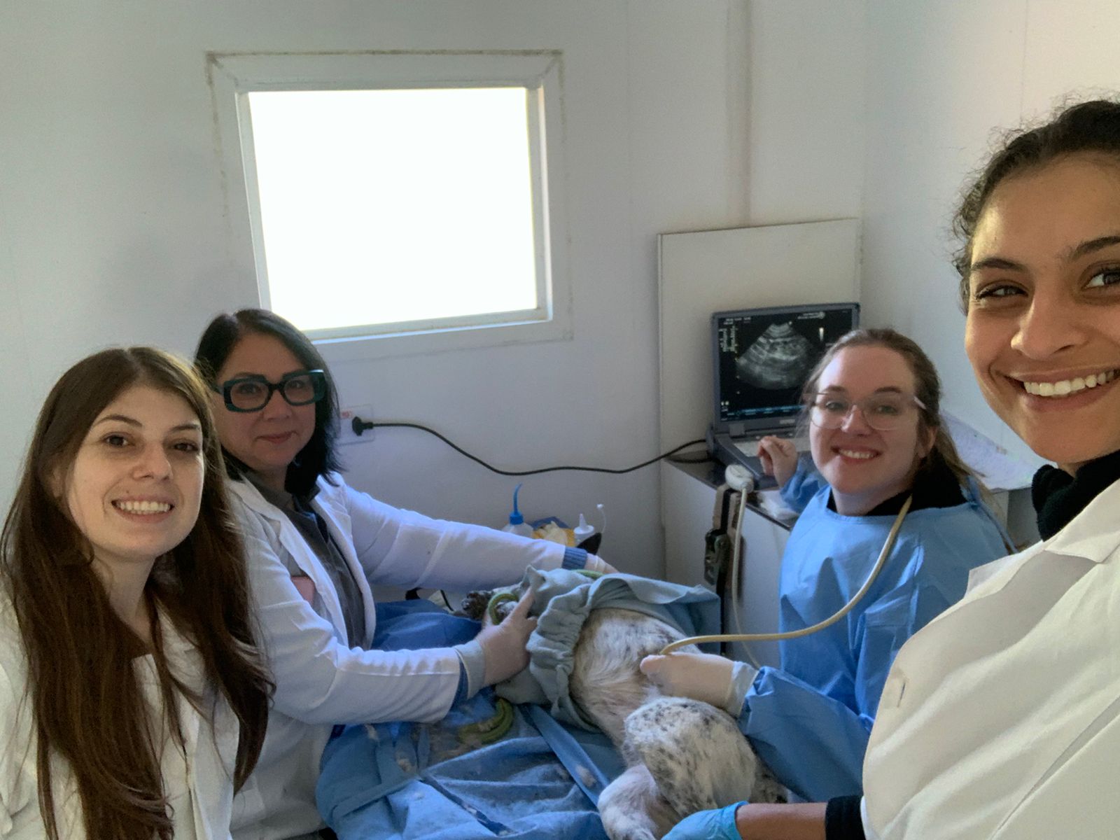 Parceria entre Prefeitura, Universidade Federal de Pelotas e Universidade Federal de Santa Maria permite avaliação com ultrassom abdominal e posterior encaminhamento para cirurgia