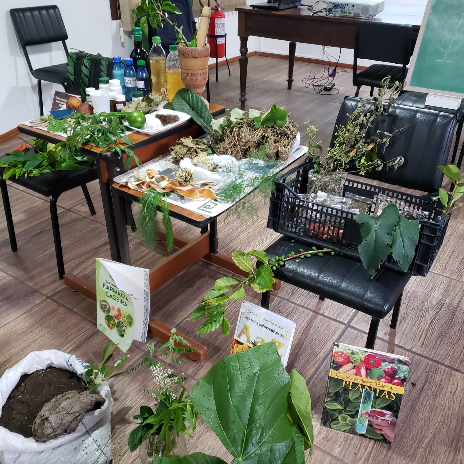 Parceria entre a Prefeitura e o Senar proporciona abordagem do tema para agricultoras do Cerrito Alegre