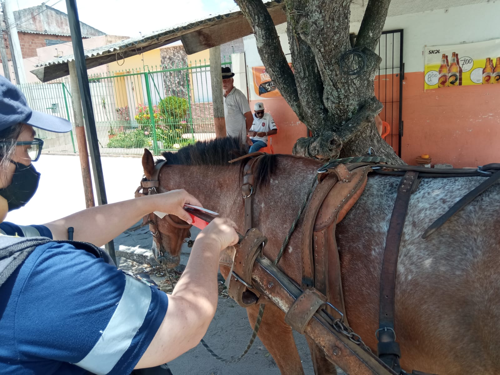 Ação ocorreu na quarta-feira (8), no Fragata. Oito veículos foram fiscalizados e dez animais tiveram as condições verificadas pelas equipes