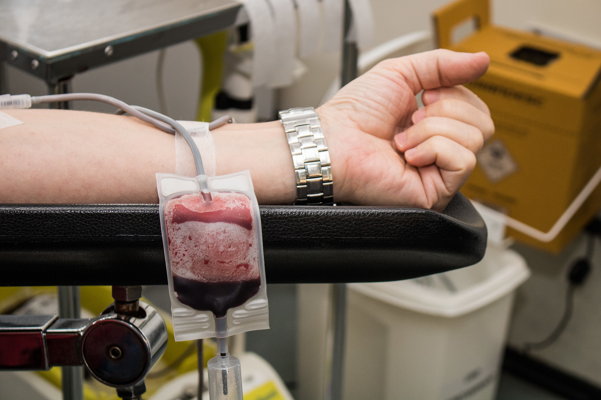 Hemopel convida população a doar sangue. No dia 14, haverá música ao vivo no local para celebrar o ato de generosidade