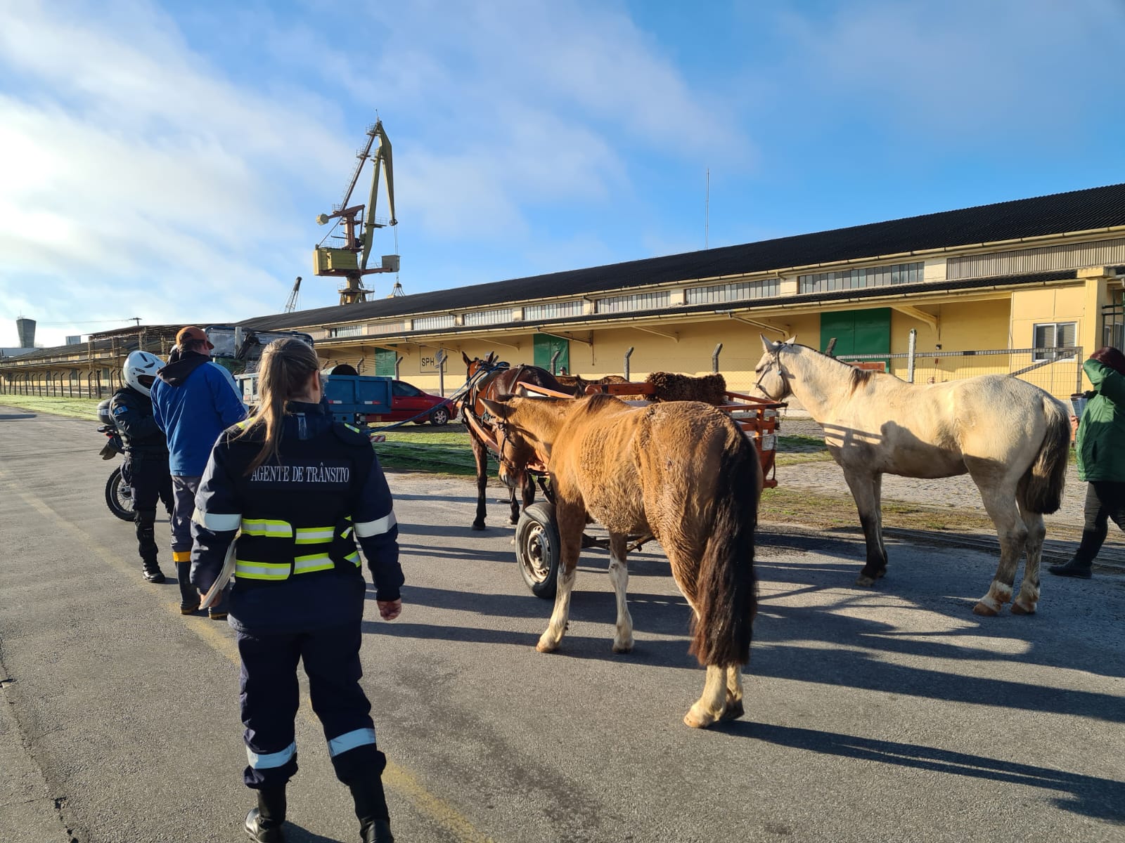 Charretes e animais soltos foram vistoriados pelas equipes da Prefeitura em diversos bairros