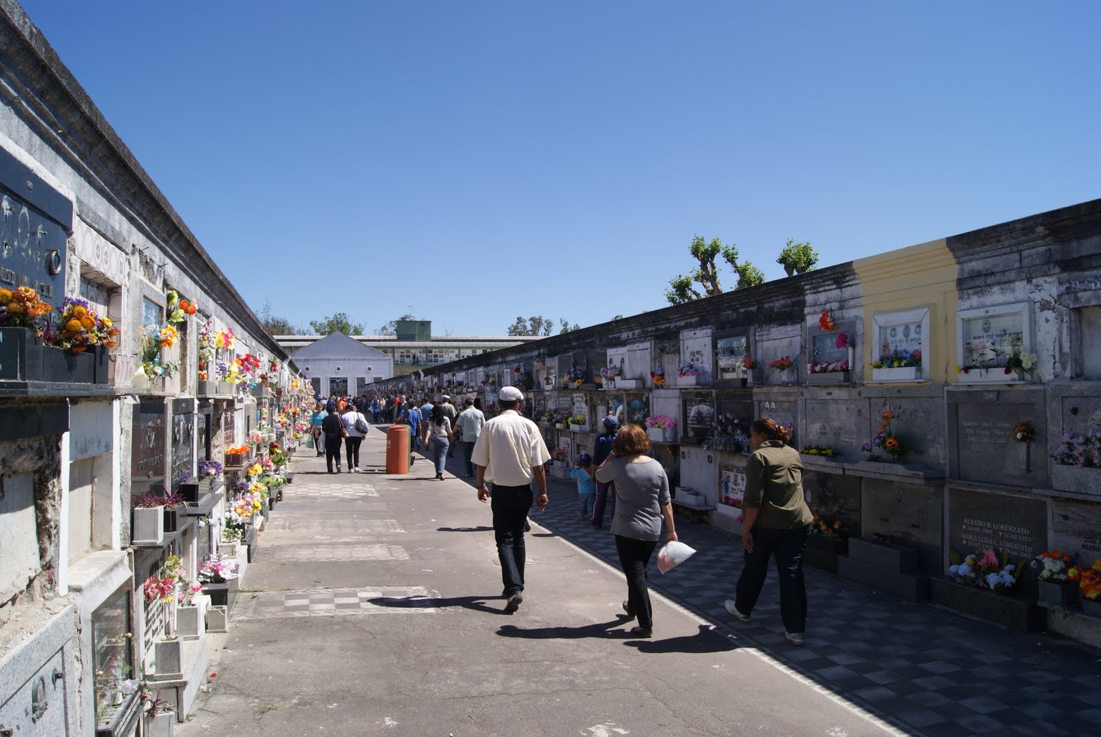 Limpeza no cemitério da Boa Vista, organização de floricultores e reforço no trânsito no entorno dos cemitérios são algumas das ações previstas para o fim de semana