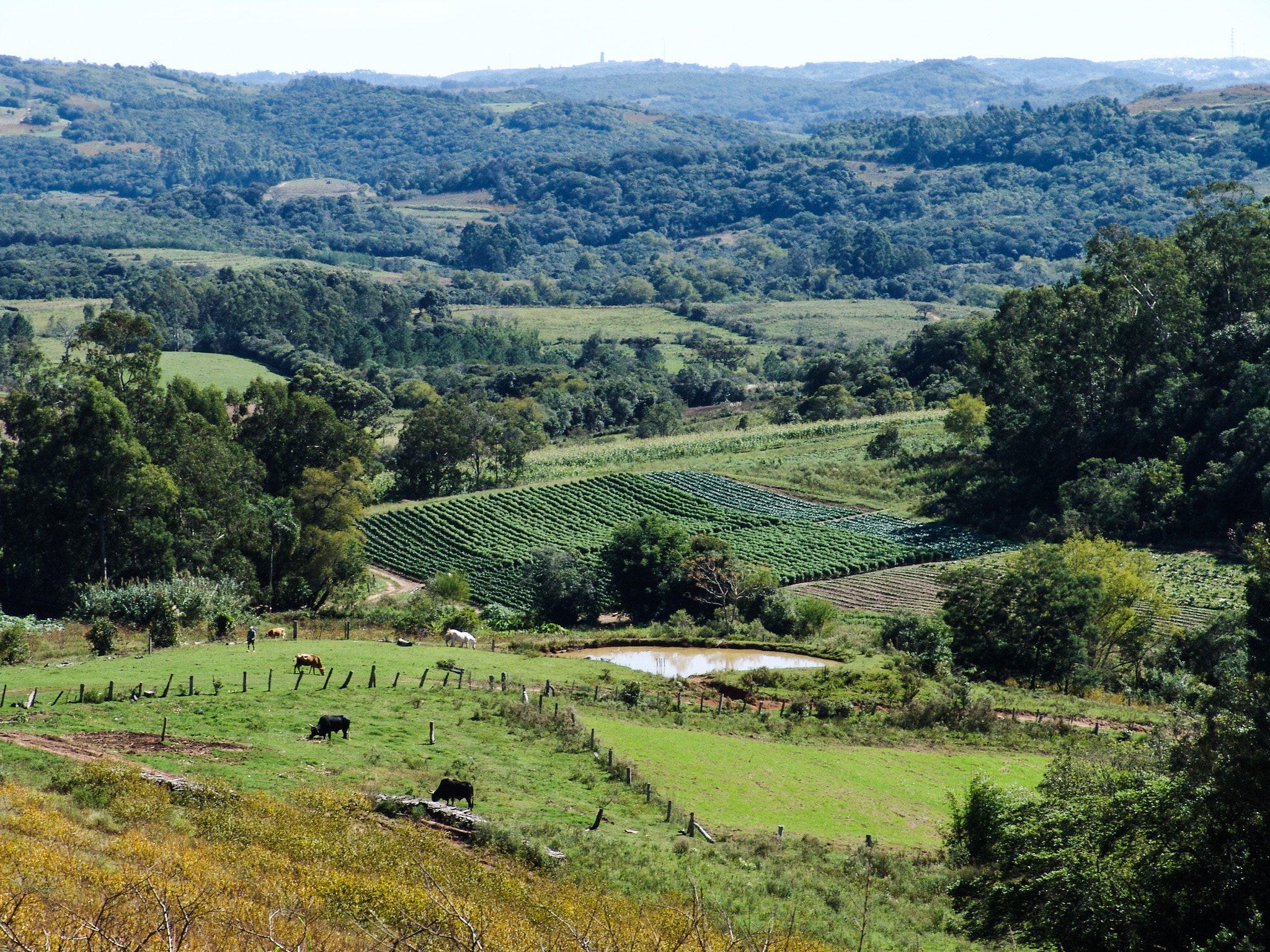 Zona rural será a grande beneficiada