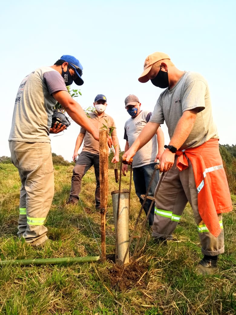 Área localizada no 3º distrito, Cerrito Alegre, é escolhida para o florestamento com 2,5 mil mudas