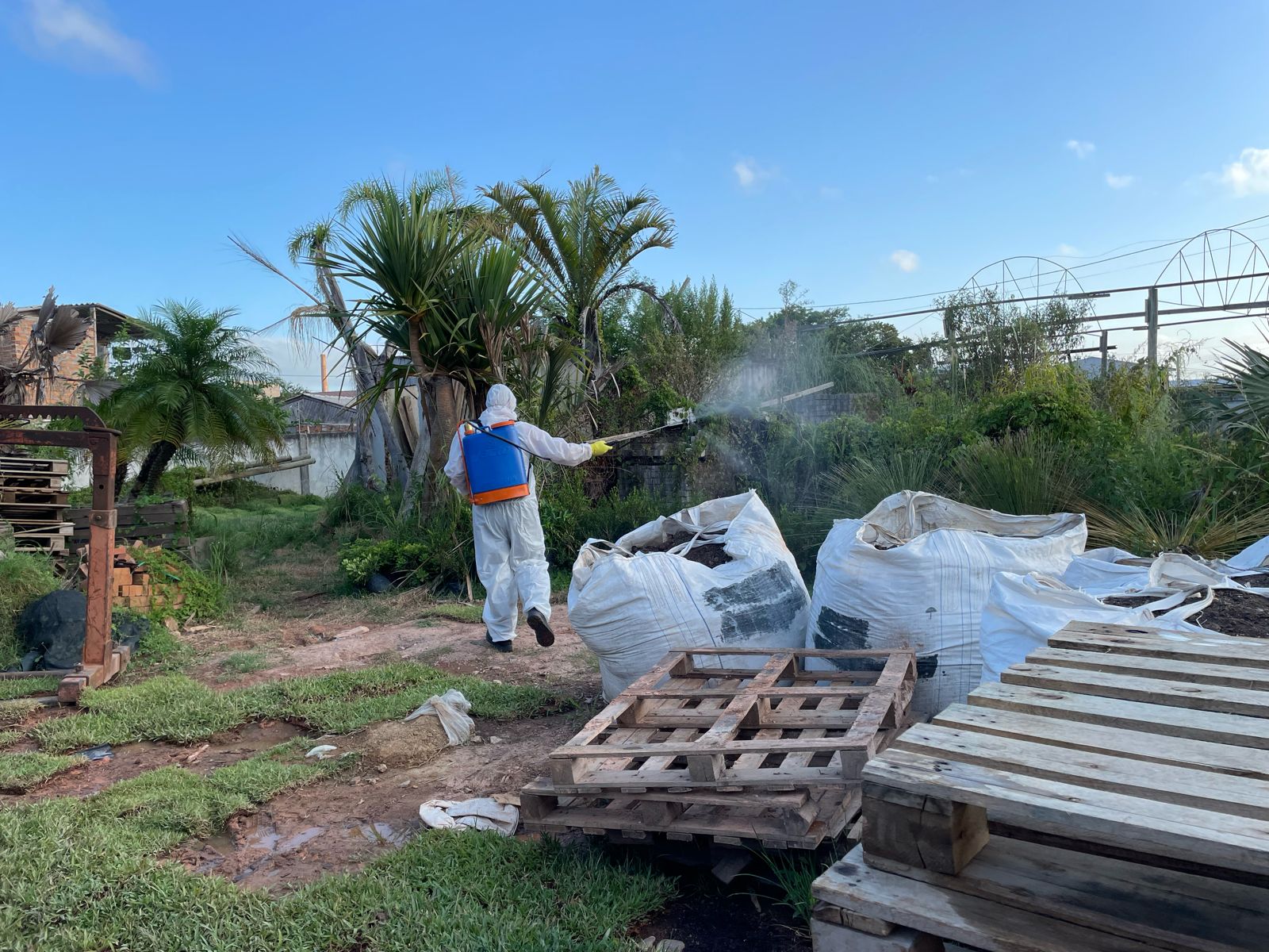 Pulverização do inseticida em superfícies é um dos métodos para controlar a população do mosquito Aedes